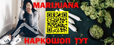 индика Гусев