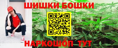 индика Гусев