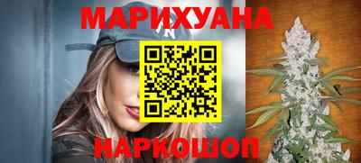 индика Гусев
