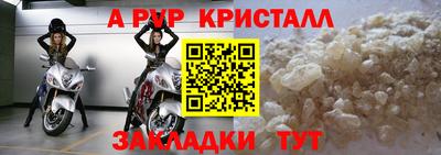 индика Гусев