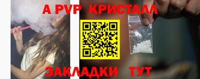 индика Гусев
