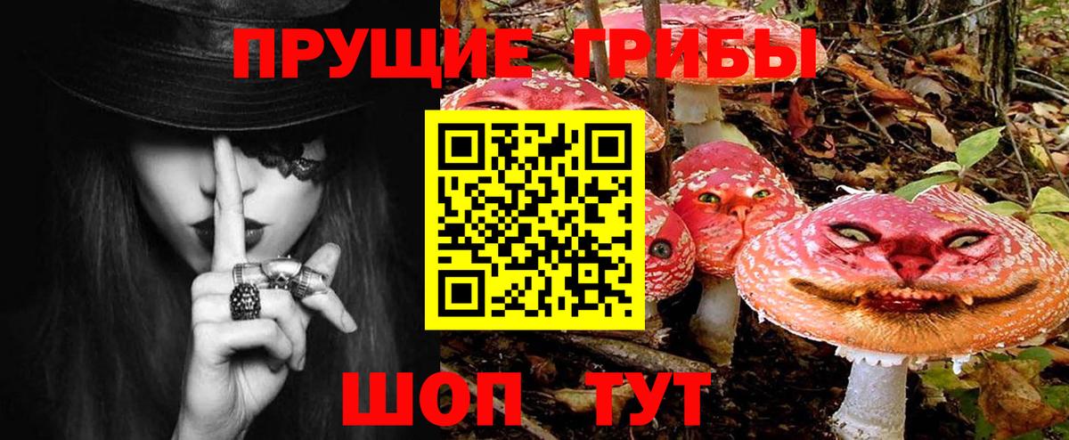 Псилоцибиновые грибы Cubensis Дедовск