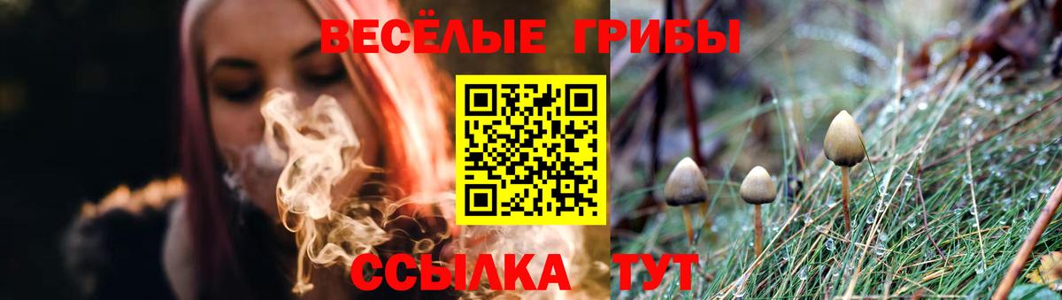Галлюциногенные грибы Psilocybine cubensis  Галлюциногенные грибы Psilocybe  Вход с VPN  Дедовск 