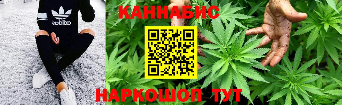 Канабис сатива Дедовск